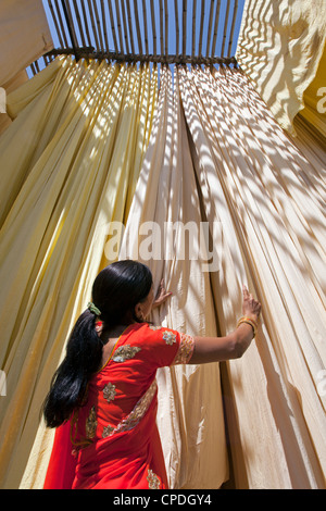 Donna in sari per controllare la qualità di fresco tessuto tinto appesi ad asciugare, Sari fabbrica di indumento, Rajasthan, India, Asia Foto Stock