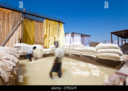 Il lavaggio di tessuto in una piscina di sbianca, Sari fabbrica di indumento, Rajasthan, India, Asia Foto Stock