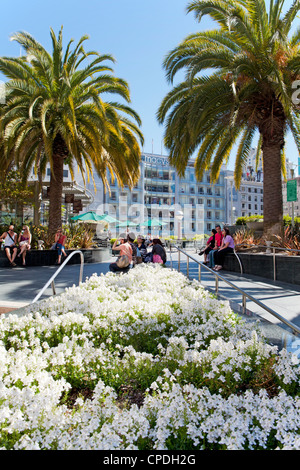 Union Square, il centro cittadino di San Francisco, California, Stati Uniti d'America, America del Nord Foto Stock