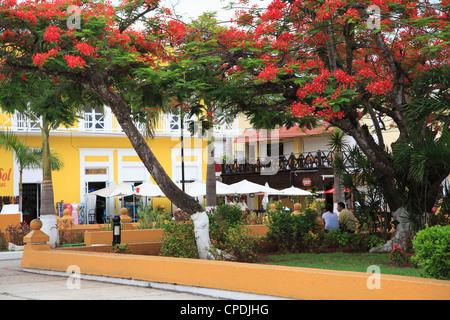 Piazza principale, San Miguel de Cozumel, Isola di Cozumel (Isla de Cozumel), Quintana Roo, Messico, Caraibi, America del Nord Foto Stock