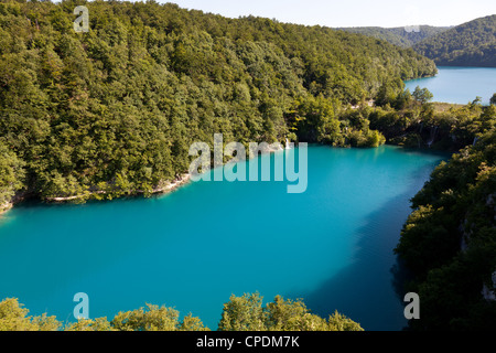 Il Parco Nazionale dei Laghi di Plitvice, patrimonio mondiale dell UNESCO, Croazia, Europa Foto Stock