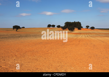 Un campo di colore arancione-rosso terra, tipico dei terreni rurali della regione, vicino a Mertola nell'Alentejo, in Portogallo, Europa Foto Stock