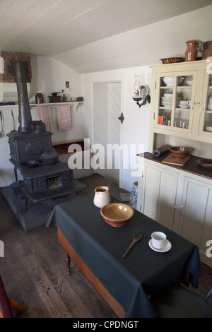 Cucina nella casa in cui Henry Ford è nato e cresciuto, Greenfield Village, Dearborn, Michigan Foto Stock