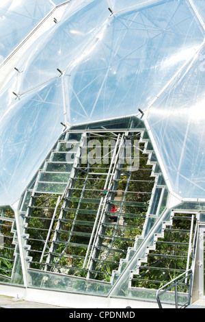 Eden Project biomi aeratore, Cornwall, Inghilterra Foto Stock