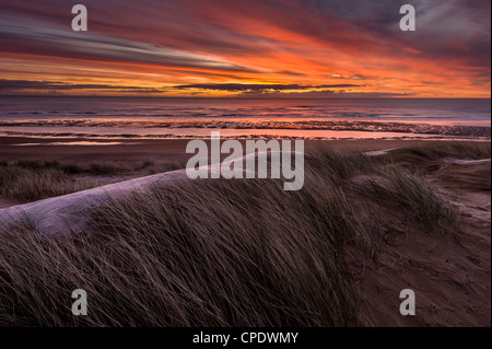 A Balmedie Beach a sunrise, Aberdeenshire, Scotland, Regno Unito Foto Stock