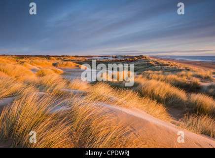 A Balmedie Beach a sunrise, Aberdeenshire, Scotland, Regno Unito Foto Stock