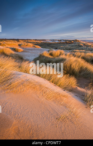 A Balmedie Beach a sunrise, Aberdeenshire, Scotland, Regno Unito Foto Stock