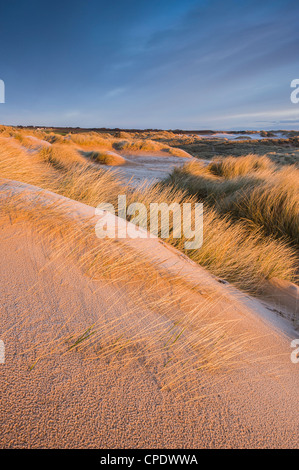 A Balmedie Beach a sunrise, Aberdeenshire, Scotland, Regno Unito Foto Stock