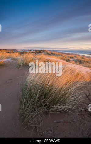 A Balmedie Beach a sunrise, Aberdeenshire, Scotland, Regno Unito Foto Stock