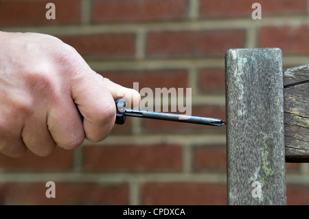 Mans caucasica mano utilizzando un cacciavite per serrare la vite su un angolo della panchina da giardino in giardino a Bristol, Regno Unito Foto Stock