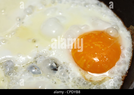 Pentola piena di le uova strapazzate in padella Foto Stock