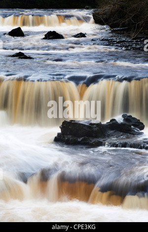 Tomaia Aysgarth Falls, Aysgarth, Yorkshire Dales, nello Yorkshire, Inghilterra, Regno Unito, Europa Foto Stock