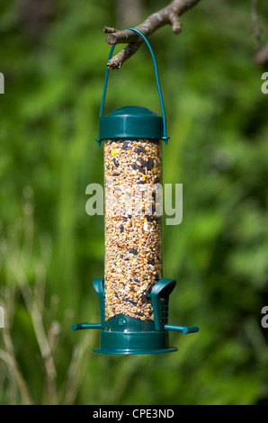 Plastica a buon mercato sementi bird feeder appesa in un giardino per attirare gli uccelli selvatici nel Regno Unito Foto Stock