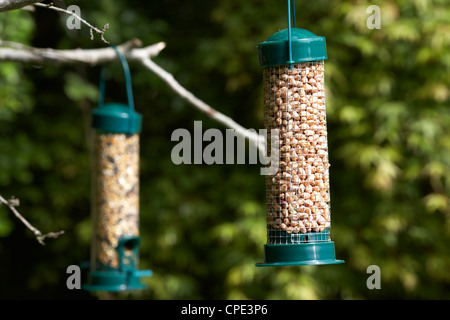 Plastica a buon mercato e di arachidi semi di alimentatori di uccelli appesi in un giardino per attirare gli uccelli selvatici nel Regno Unito Foto Stock