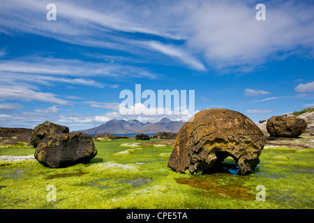 Giganteschi massi erratici su un letto di alghe marine sulla isola di Eigg, Ebridi Interne, Scotland, Regno Unito, Europa Foto Stock