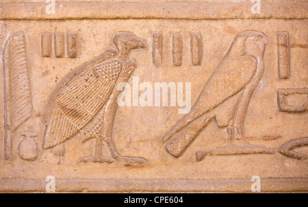 Vulture e falcon rilievo sulle pareti del grande cortile del Tempio di Horus Edfu, Egitto, Africa Settentrionale, Africa Foto Stock