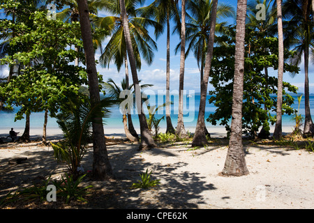 Un telecomando, palm isola ricoperta in provincia Chirique, Panama America Centrale Foto Stock