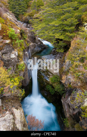 Taranaki scende, il Parco nazionale di Tongariro, Sito Patrimonio Mondiale dell'UNESCO, Isola del nord, Nuova Zelanda, Pacific Foto Stock