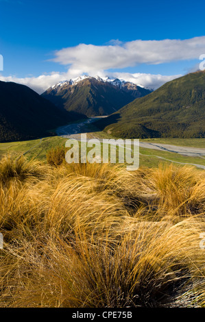 Arthur's Pass il Parco Nazionale di South Island, in Nuova Zelanda, Pacific Foto Stock