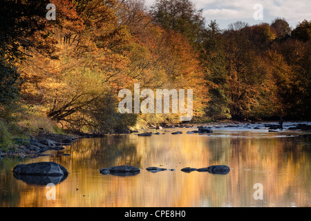 Fiume Creuse, una zona preferita del fiume dell'artista Claude Monet, Limousin, Francia Foto Stock