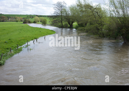 Fiume Windrush in Oxfordshire inizio a overflow di burst e le sue banche in aprile 2012 durante un periodo di siccità Foto Stock