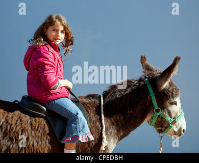 Asino mulo con kid bambina riding sorridenti su blu Foto Stock