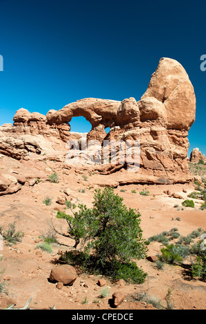 La torretta Arch nel Parco Nazionale Arches, Utah, Stati Uniti d'America Foto Stock