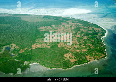 Piantagione di palme Quirimba sull isola nell'arcipelago Quirimbas al largo delle coste del Mozambico. Foto Stock