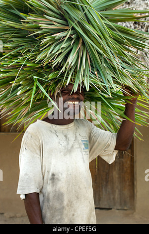 Uomo che porta reed sulla sua testa nel villaggio di Guludo in Quirimbas National Park nel nord del Mozambico. Foto Stock