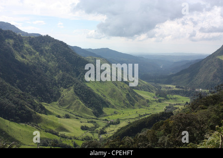 Cocora Valley, il gateway al Parque Nacional Natural de los Nevados. Colombia andino Foto Stock