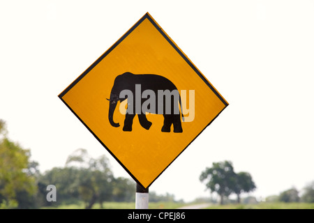 Elefante giallo wanring segno sulla strada nella nazione Yala park, Sri Lanka Foto Stock