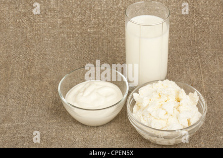 Prodotti lattiero-caseari - latte, formaggio, panna acida in un bicchiere Foto Stock