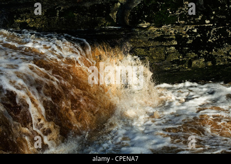 Il fiume Ribble forza Stainforth Stainforth Settle Yorkshire Dales Inghilterra Foto Stock