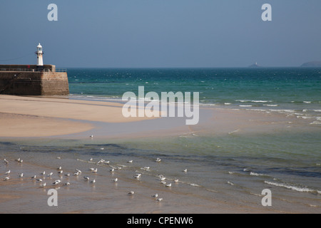 Vista del mare dal porto, St Ives, Cornwall, Inghilterra, Regno Unito. Gabbiani sulla spiaggia. Foto Stock