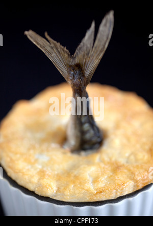 Pesce o torta Stargazy Foto Stock