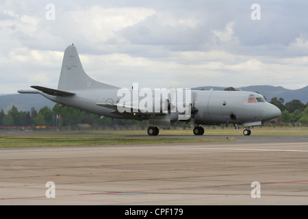 Lockheed P-3 Orion il pattugliamento marittimo aerei della Royal Australian Air Force Foto Stock