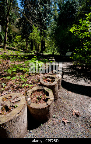 Parete organico fatto di scavata log in Leach Giardini Botanici - Johnson Creek, Portland, Oregon Foto Stock