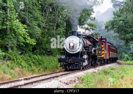 1917 Baldwin 'Pershing' 2-8-0 'Consolidation Class' locomotiva a vapore 300 presso la 'Texas state Railroad' Railfest nel Texas orientale. Foto Stock