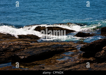 Winslow Homer artista studio Prouts collo, Scarborough Maine Foto Stock