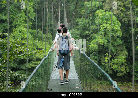 Gli adolescenti nella foresta pluviale della Costa Rica che attraversa un fiume su un cavo sospeso bridge Foto Stock