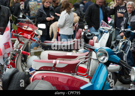 Scooter club nel rally di Cambridge, Inghilterra. Foto Stock