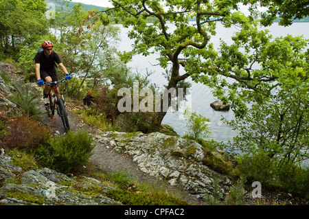 Mountain biker sulla West Highland Way accanto a Loch Lomond, Scozia Foto Stock