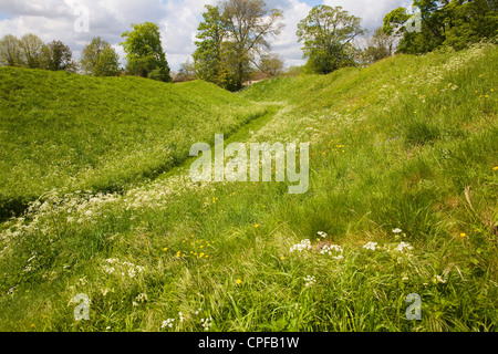 Sterri preistorici banche Castle Hill Thetford Norfolk Inghilterra Foto Stock