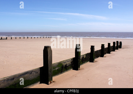 Un frangiflutti in legno su un vuoto di spiaggia sabbiosa. Foto Stock