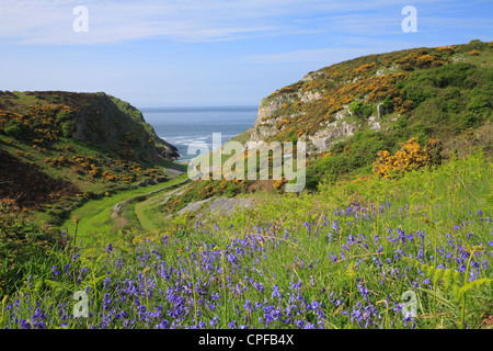 E Mewslade Mewslade Bay in primavera. Il Gower, Galles. Foto Stock