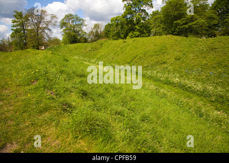 Sterri preistorici banche Castle Hill Thetford Norfolk Inghilterra Foto Stock