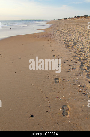 Orme su una spiaggia in North Carolina in verticale Foto Stock
