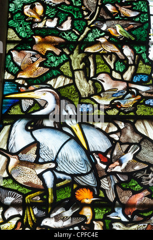 Inghilterra, Hampshire, Selborne, S.Maria la Vergine Chiesa Particolare della vetrata dedicata Gilbert bianco raffiguranti gli uccelli Foto Stock