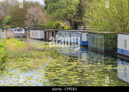 Casa barche sulla nave Chichester Canal Foto Stock