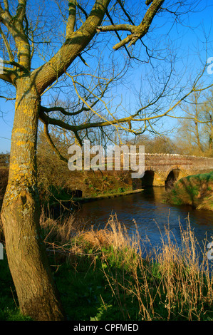 UK,Devon,Vicino Axminster,Ginestra Bridge & River Ax Foto Stock